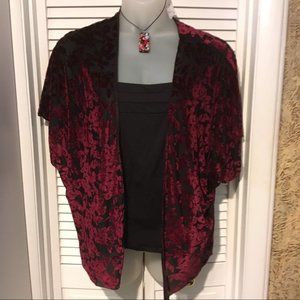 NWOT Top Fashion New York (L) velvet burnout